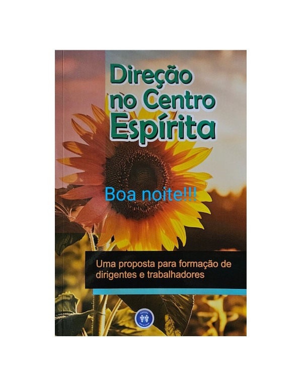 DIREÇÃO NO CENTRO ESPÍRITA - UMA PROPOSTA PARA ...