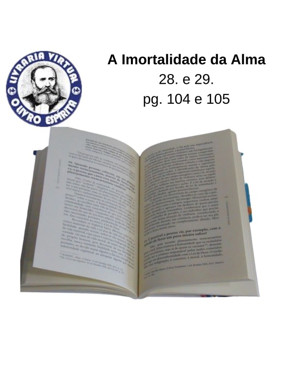 A IMORTALIDADE DA ALMA EVELYN SÉRIE CONHECENDO O ESPIRITISMO