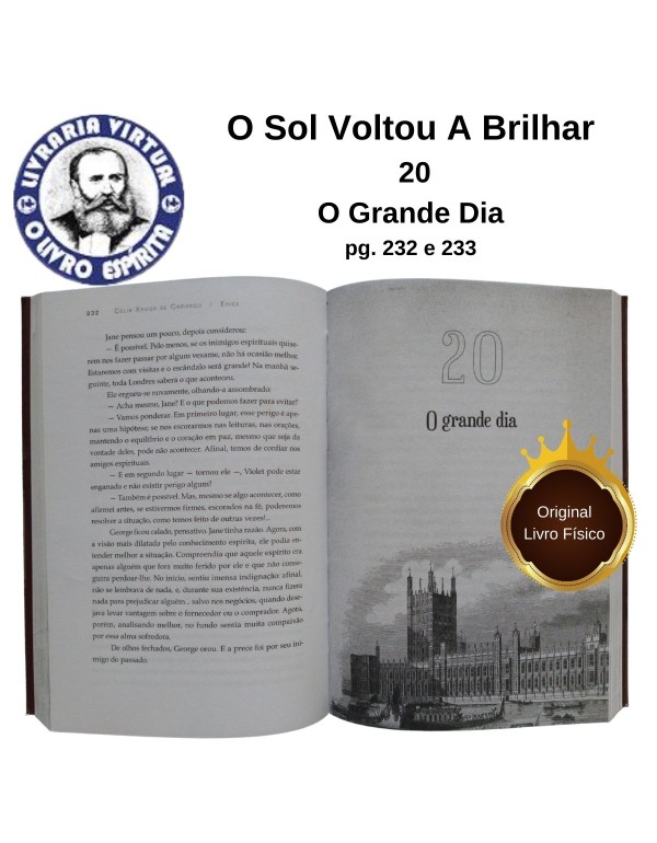 O SOL VOLTOU A BRILHAR - ESPÍRITO ERICK - PSICOGRAFIA CÉLIA