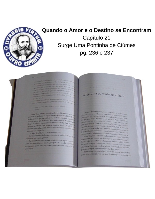 QUANDO O AMOR E O DESTINO SE ENCONTRAM - IZABEL GOMES -PETIT