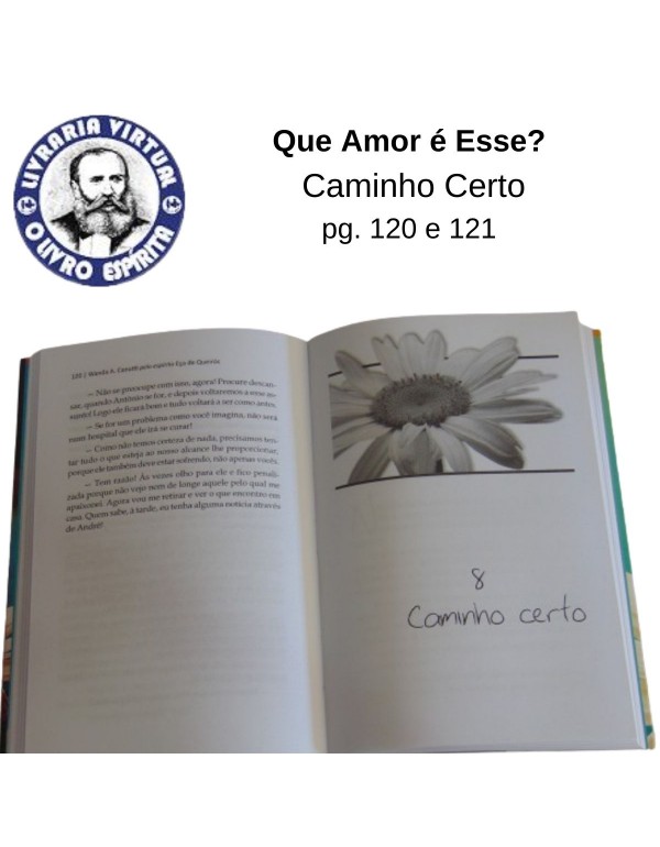 QUE AMOR É ESSE? - WANDA A. CANUTTI - ESPÍRITO EÇA DE QUEIRÓS