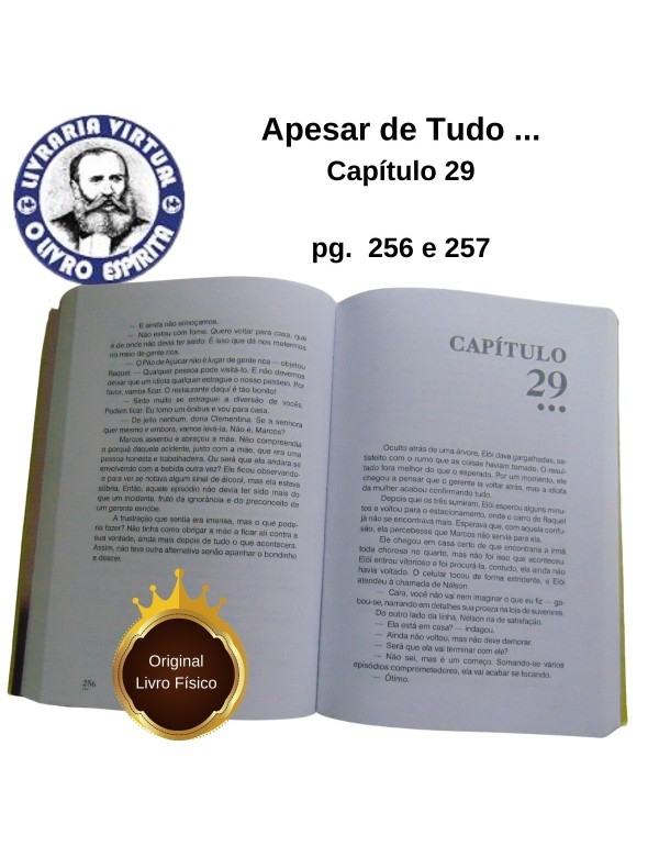 APESAR DE TUDO - MONICA DE CASTRO - ESPÍRITO LEONEL