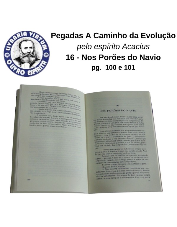 PEGADAS A CAMINHO DA EVOLUÇÃO - HEDE MARIA DA S. NOGUEIRA